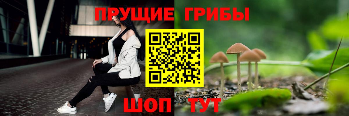 Псилоцибиновые грибы MAGIC MUSHROOMS  Вход с VPN  Грязи  Галлюциногенные грибы Cubensis 